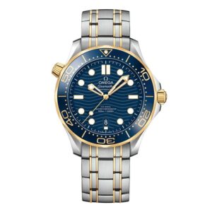 OMEGA SEAMASTER DIVER 300M OMEGA CO-AXIAL MASTER CHRONOMETER 42MM オメガ シーマスター ダイバー 300M オメガ コーアクシャル マスター クロノメーター 42MM 210.20.42.20.03.001