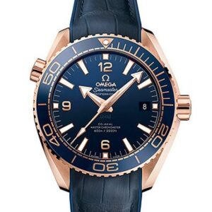 OMEGA SEAMASTER PLANET OCEAN 600M OMEGA CO-AXIAL MASTER CHRONOMETER 43.5MM オメガ シーマスター プラネットオーシャン 600M オメガ コーアクシャル マスター クロノメーター 43.5MM 215.63.44.21.03.001