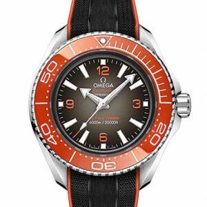 OMEGA SEAMASTER PLANET OCEAN 6000M CO-AXIAL MASTER CHRONOMETER 45.5MM オメガ シーマスター プラネットオーシャン 6000M コーアクシャル マスター クロノメーター 45.5MM 215.32.46.21.06.001