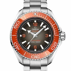 OMEGA SEAMASTER PLANET OCEAN 6000M CO-AXIAL MASTER CHRONOMETER 45.5MM オメガ シーマスター プラネットオーシャン 6000M コーアクシャル マスター クロノメーター 45.5MM 215.30.46.21.06.001