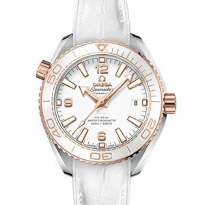 OMEGA SEAMASTER PLANET OCEAN 600M OMEGA CO-AXIAL MASTER CHRONOMETER 39.5MM オメガ シーマスター プラネットオーシャン 600M オメガ コーアクシャル マスター クロノメーター 39.5MM 215.23.40.20.04.001