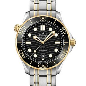 OMEGA SEAMASTER DIVER 300M OMEGA CO-AXIAL MASTER CHRONOMETER 42MM オメガ シーマスター ダイバー 300M オメガ コーアクシャル マスター クロノメーター 42MM 210.20.42.20.01.002