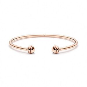 PIAGET POSSESSION Bangle ピアジェ ポセション バングル G36PR100