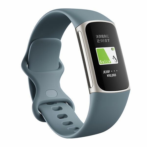 Fitbit Charge 5 フィットビット チャージ5 FB421SRBU