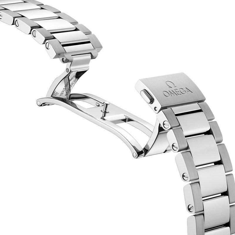 OMEGA SEAMASTER AQUA TERRA 150M オメガ シーマスター アクアテラ 150M 220.10.38.20.10.003