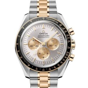 OMEGA Speedmaster Moonwatch Professional オメガ スピードマスター ムーンウォッチ プロフェッショナル 310.20.42.50.02.001