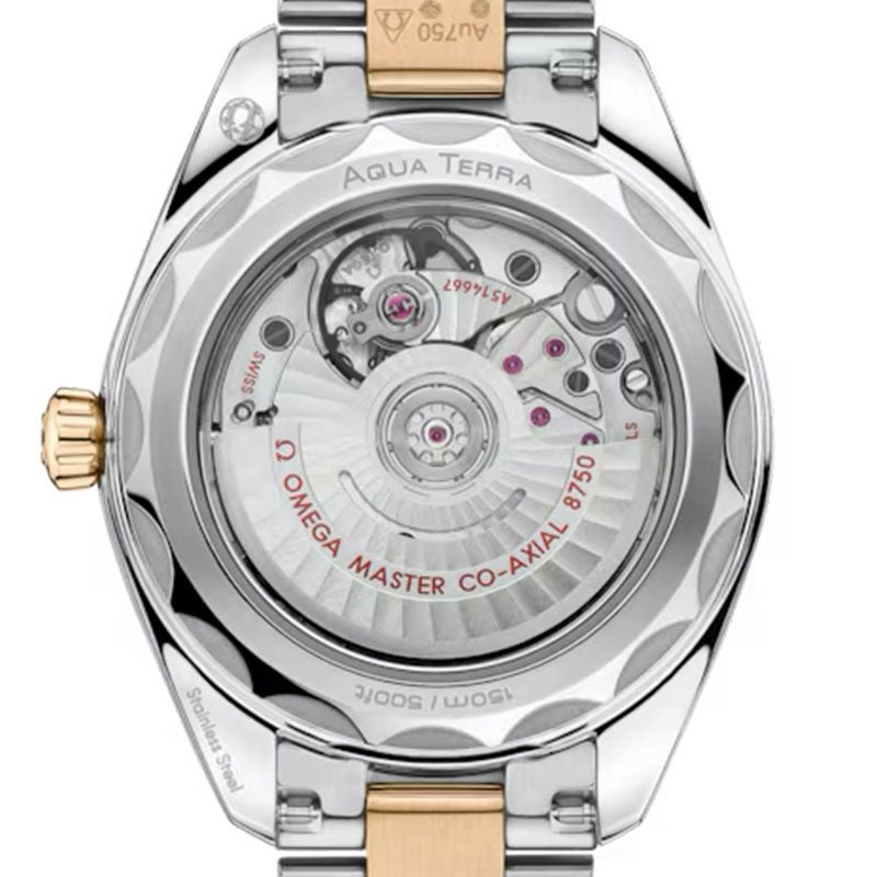 OMEGA SEAMASTER AQUA TERRA 150M オメガ シーマスター アクアテラ 150M 220.20.30.20.02.001