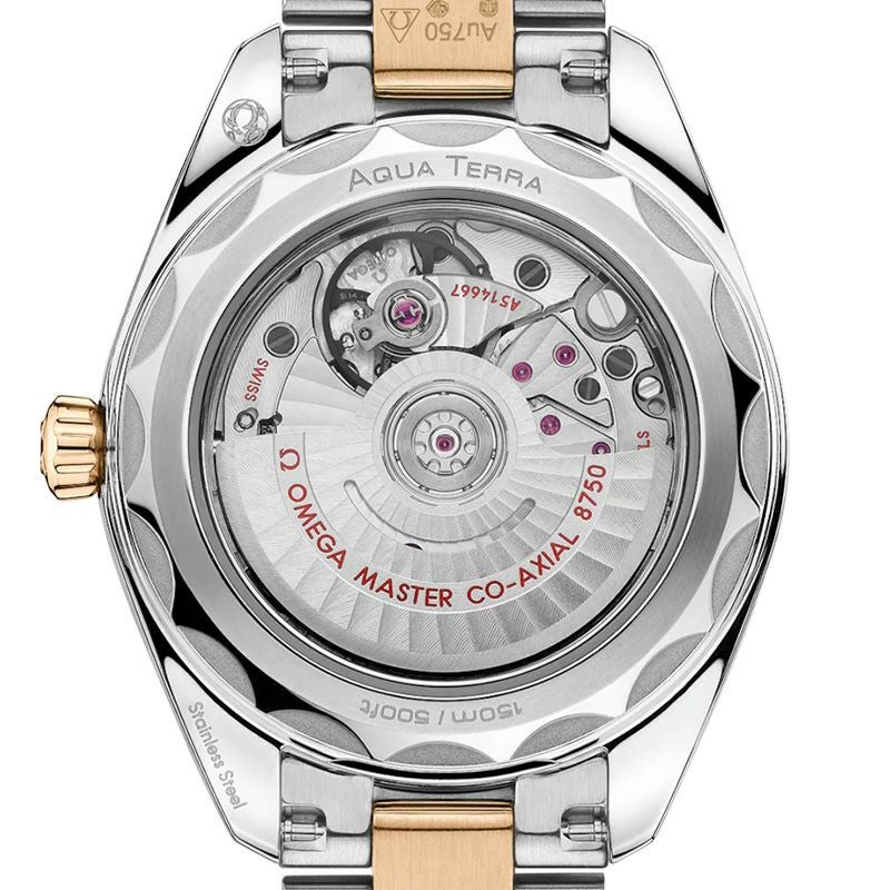 OMEGA SEAMASTER AQUA TERRA 150M オメガ シーマスター アクアテラ 150M 220.25.30.20.55.001