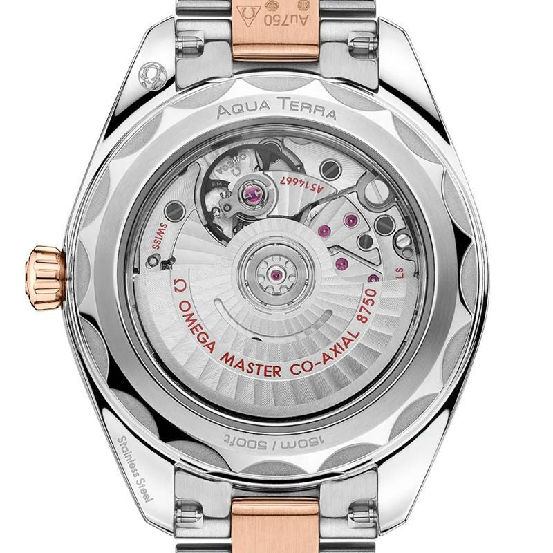 OMEGA SEAMASTER AQUA TERRA 150M オメガ シーマスター アクアテラ 150M 220.20.30.20.63.001