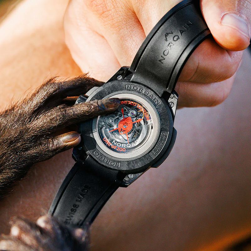 NORQAIN WILD ONE SKELETON 42MM HAKUNA MIPAKA LIMITED EDITION ノルケイン ワイルドワン スケルトン 42MM ハクナ ミパカ リミテッドエディション N3000.07Q17.B24.R01
