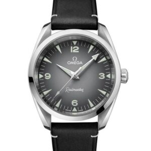 OMEGA SEAMASTER RAILMASTER オメガ シーマスター レイルマスター 235.12.38.20.06.001