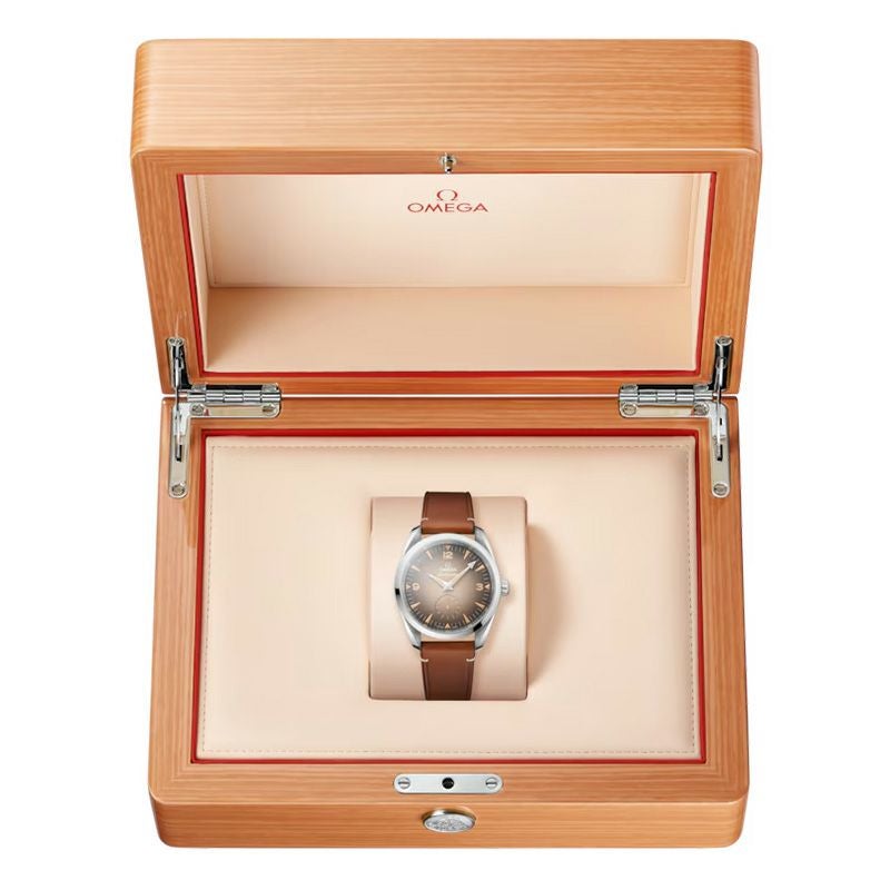 OMEGA SEAMASTER RAILMASTER オメガ シーマスター レイルマスター 235.12.38.20.13.001