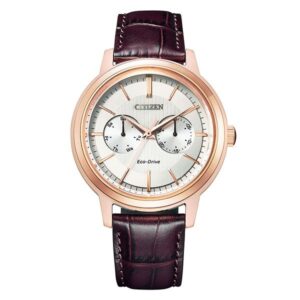 CITIZEN COLLECTION シチズン コレクション エコドライブ マルチカレンダー BU4032-11A