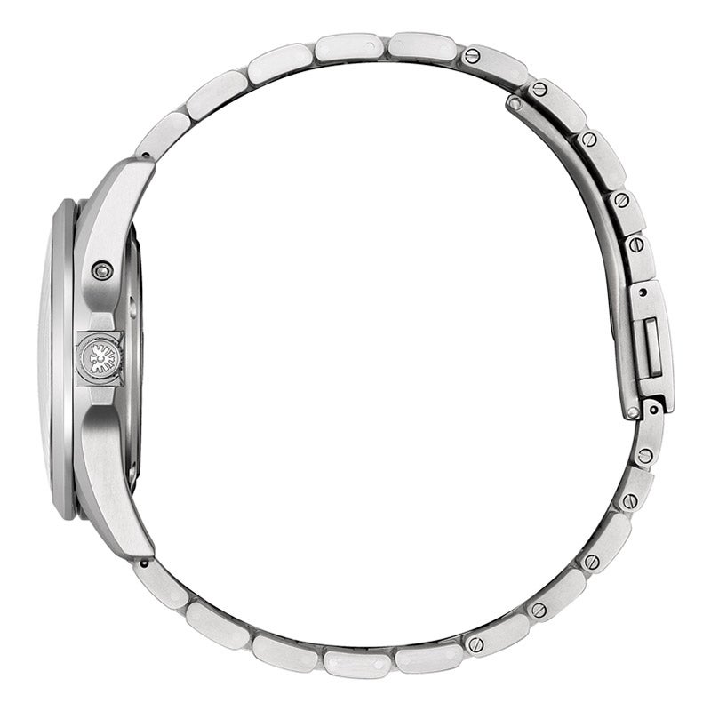 The CITIZEN ザ・シチズン AQ4091-56E