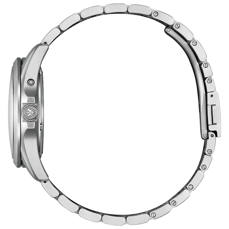 The CITIZEN ザ・シチズン AQ4091-56W