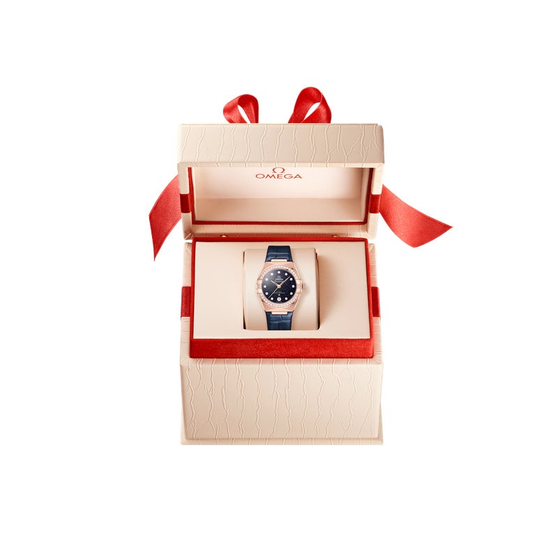 OMEGA CONSTELLATION オメガ コンステレーション 131.58.29.20.53.003