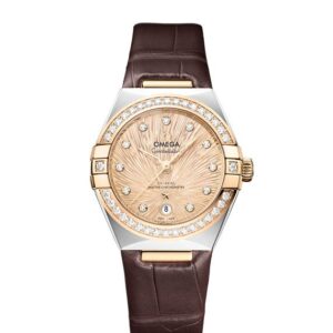 OMEGA CONSTELLATION オメガ コンステレーション 131.28.29.20.58.001